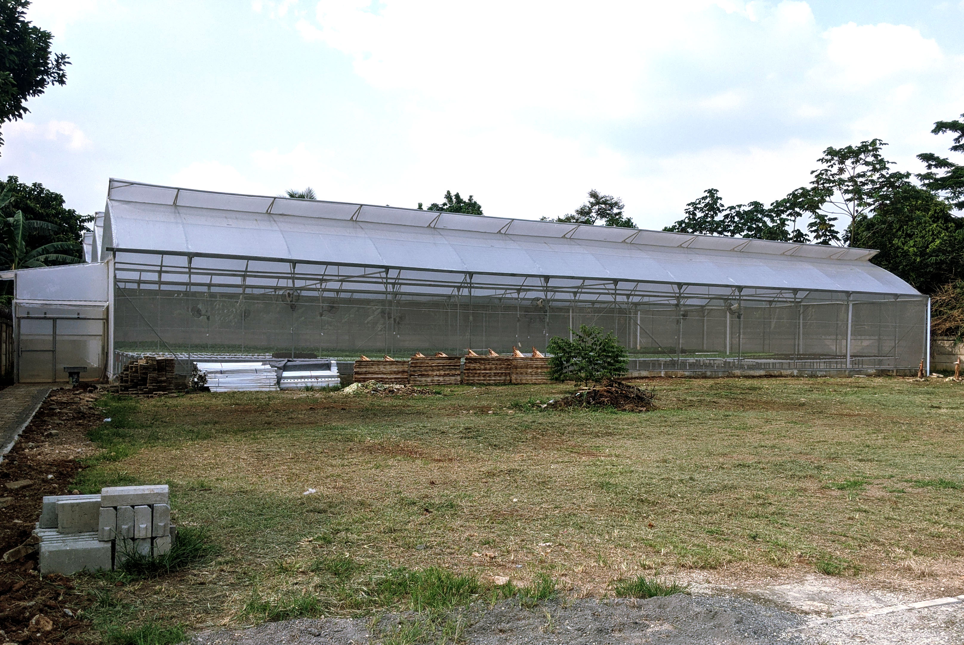 kebun hidroponik